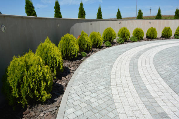 Best Local Driveway Pavers  in Ogdensburg, NJ